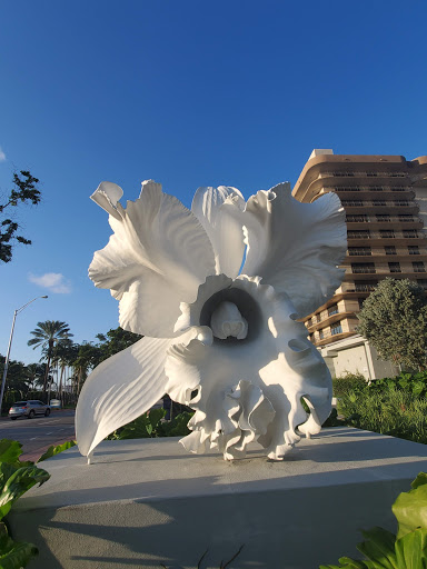 Park «Eighty Seven Park», reviews and photos, 8701 Collins Ave, Miami Beach, FL 33154, USA