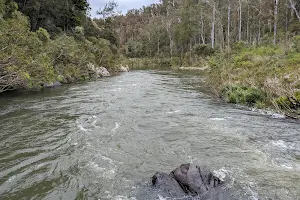 Nymboi-Binderay National Park image