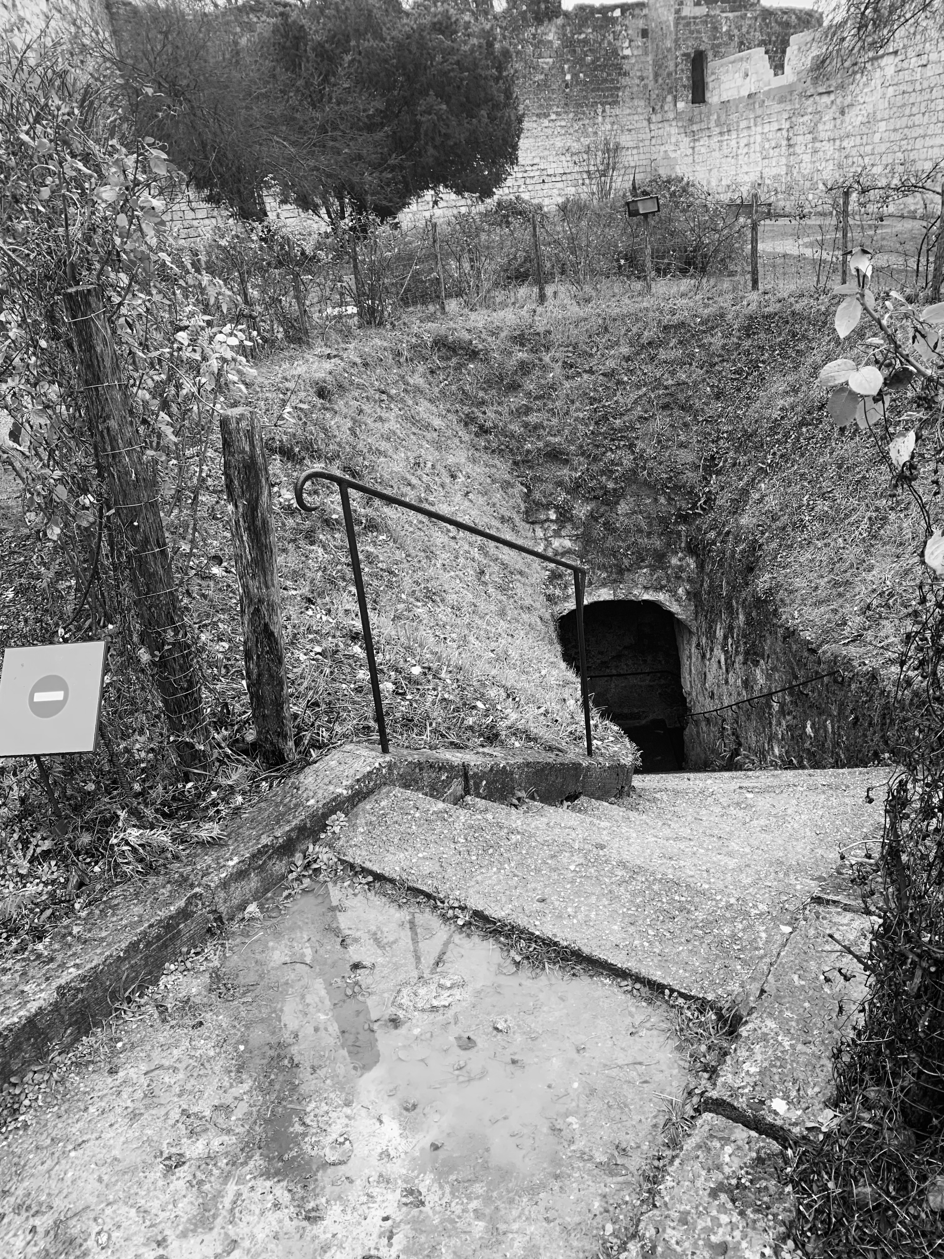 Photo n° 1 de l'avis de Muriel.. fait le 12/01/2023 à 12:50