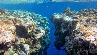 Photos of Deep Blue Divers Dahab