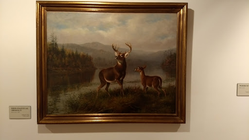 Museum «Hiram Blauvelt Art Museum», reviews and photos, 705 Kinderkamack Rd, Oradell, NJ 07649, USA