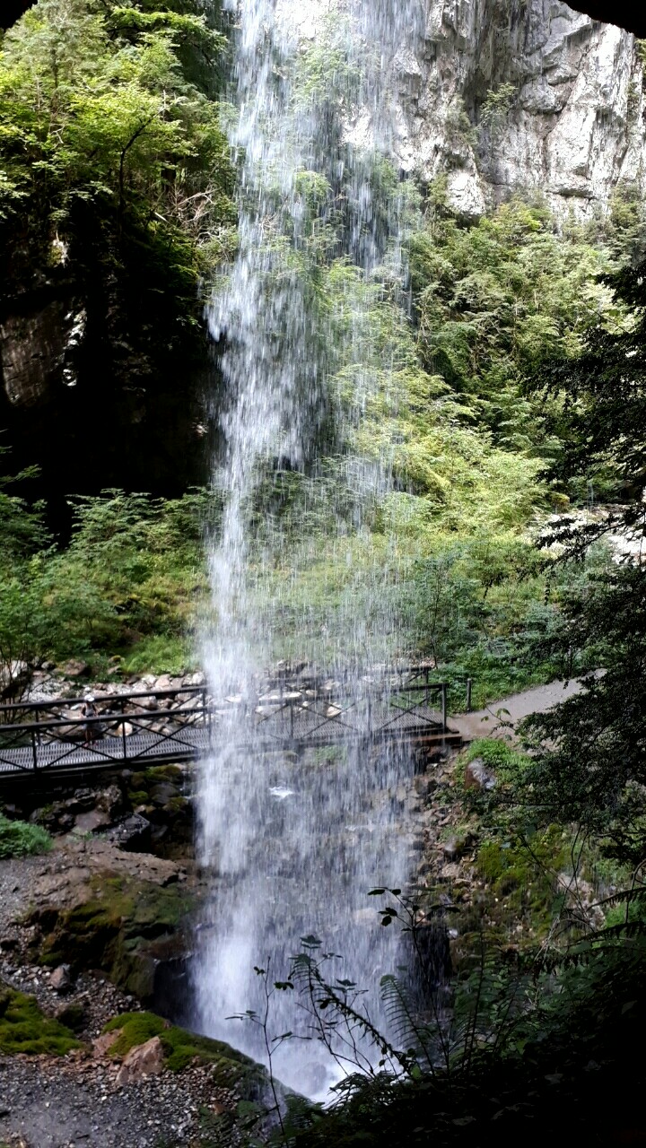 Photo n° 3 de l'avis de PETIT.h fait le 21/06/2017 à 12:35