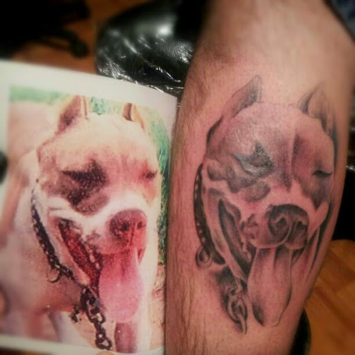 Tattoo Shop «Collins Street Tattoo», reviews and photos, 2304 N Collins St, Arlington, TX 76011, USA