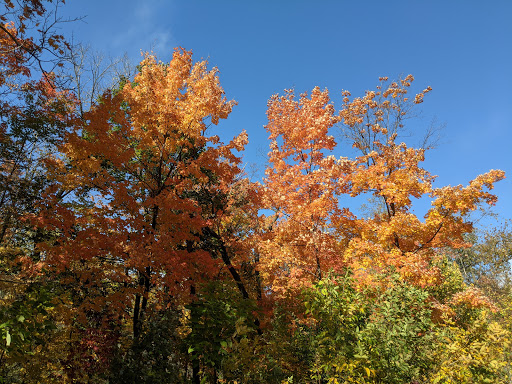 Nature Preserve «Forest Glen Woods», reviews and photos, 5420 N Forest Glen Ave, Chicago, IL 60630, USA