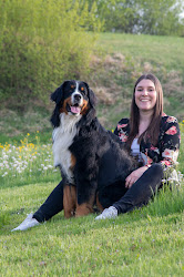 Hundeschule N.A. Dogs | Hundetrainer Freiburg | Hundeschule Freiburg | Hundeberatung Freiburg