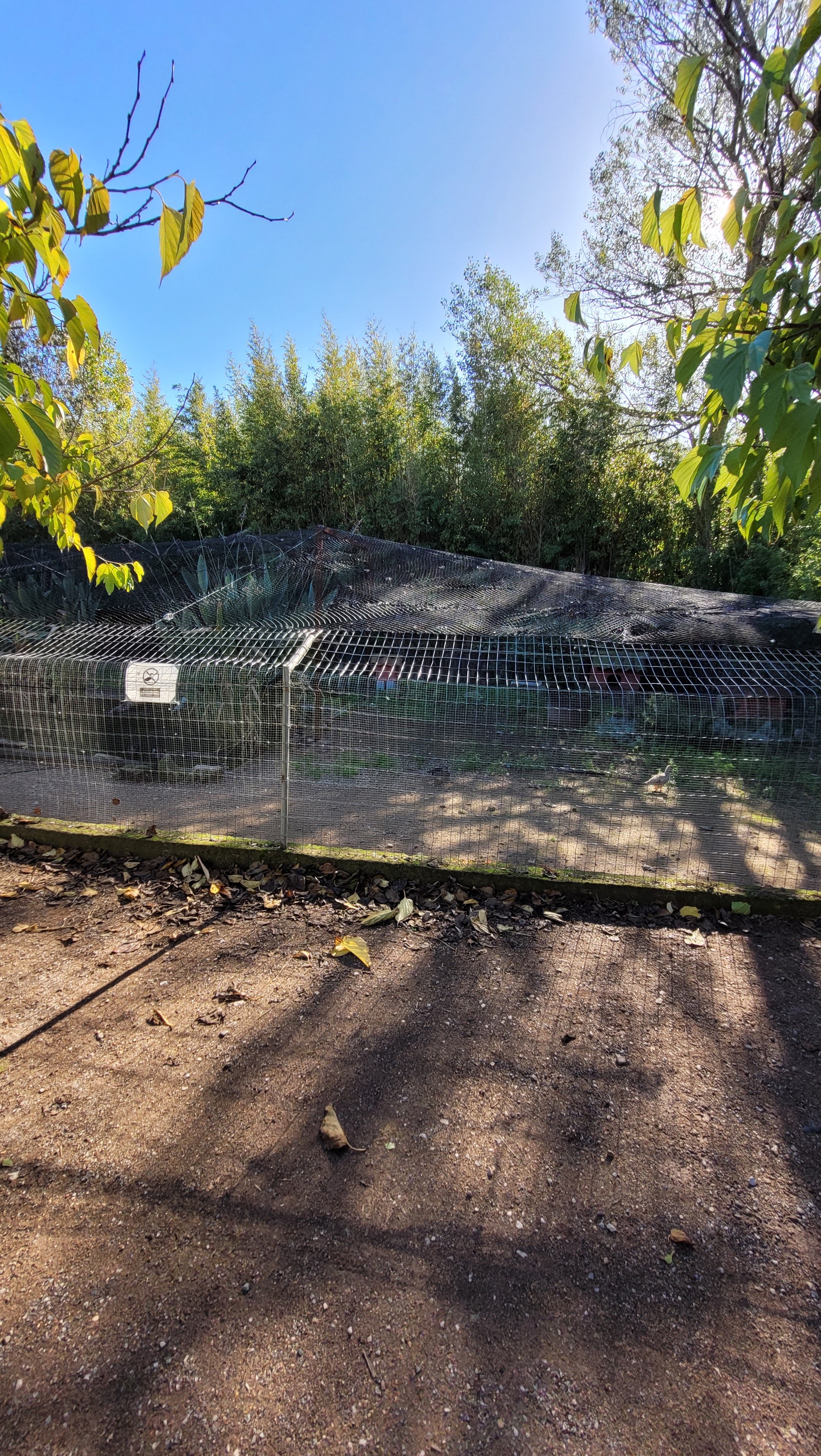 Photo n° 14 de l'avis de Guillaume.o fait le 13/11/2023 à 22:35