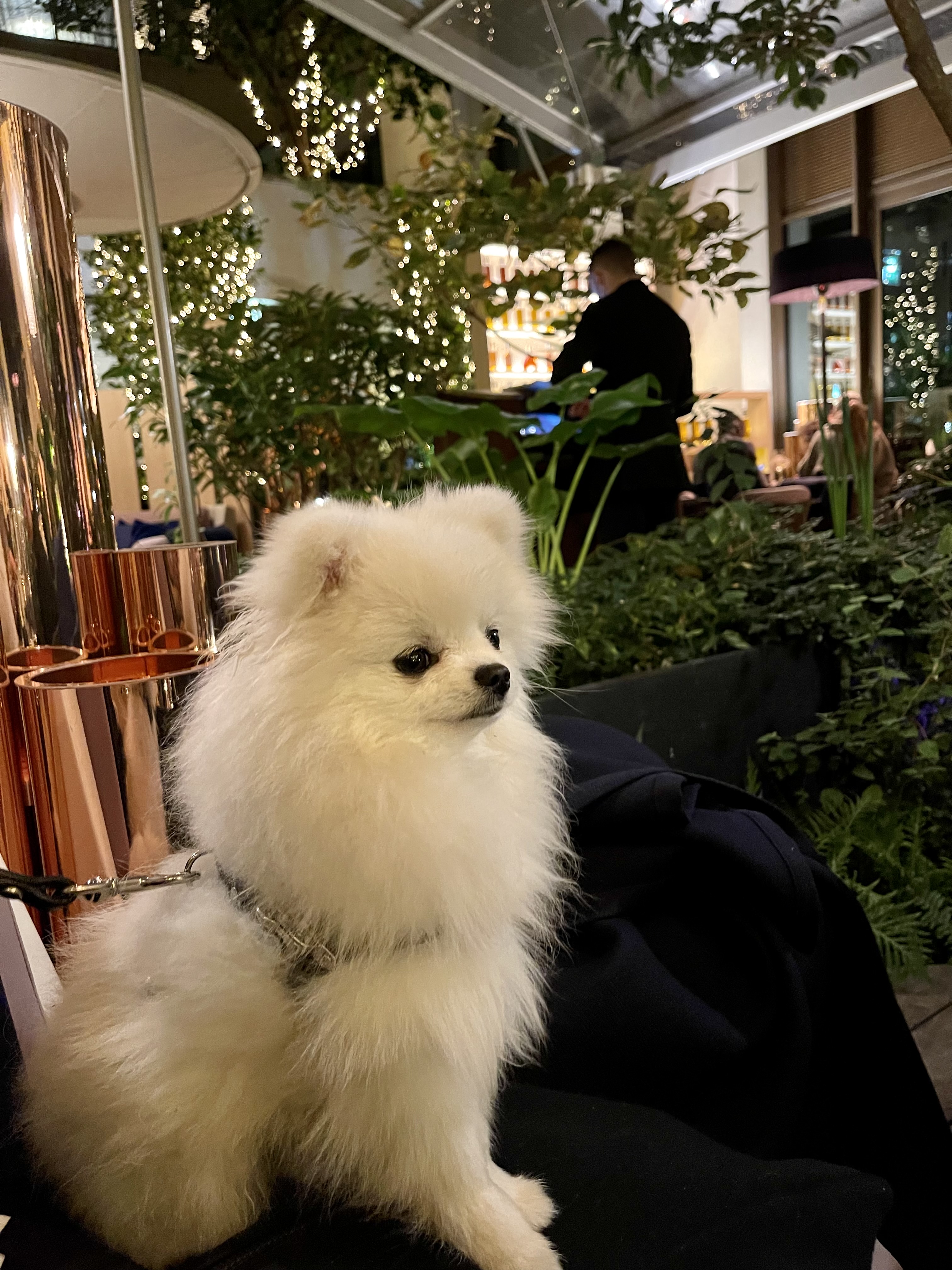 Photo n° 1 de l'avis de Sheldon.h fait le 29/11/2021 à 15:51