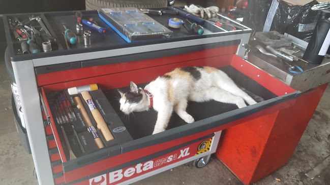 Autoservis Audi Petr Trpík telefonní číslo