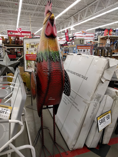 Home Improvement Store «Tractor Supply Co.», reviews and photos, 673 College Hwy, Southwick, MA 01077, USA