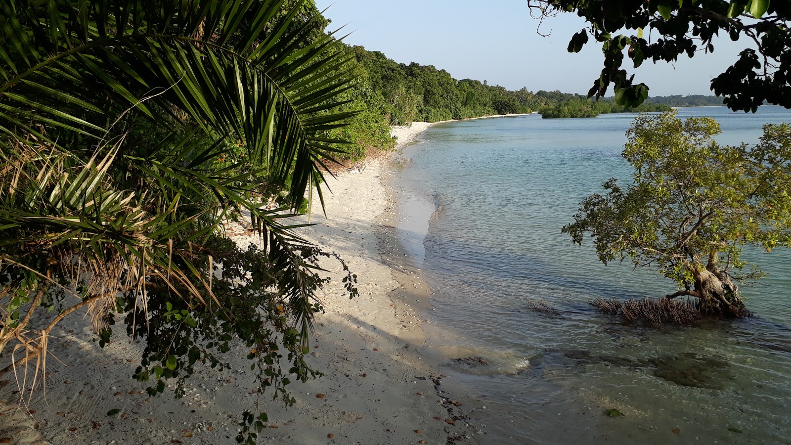 Fundu Lagoon photo #8