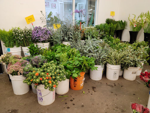 Garden Center «Repetto Florist and Nursery», reviews and photos, 12331 San Mateo Rd, Half Moon Bay, CA 94019, USA