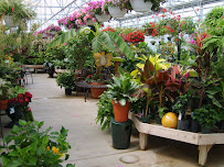 Hoerr Nursery - Photo 3 - Car repair in Peoria, IL, Peoria