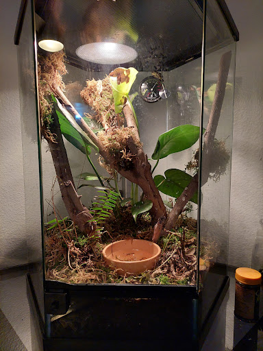 Pet Store «CUSTOM CREATURES PET SHOP», reviews and photos, 10727 N 19th Ave, Phoenix, AZ 85029, USA