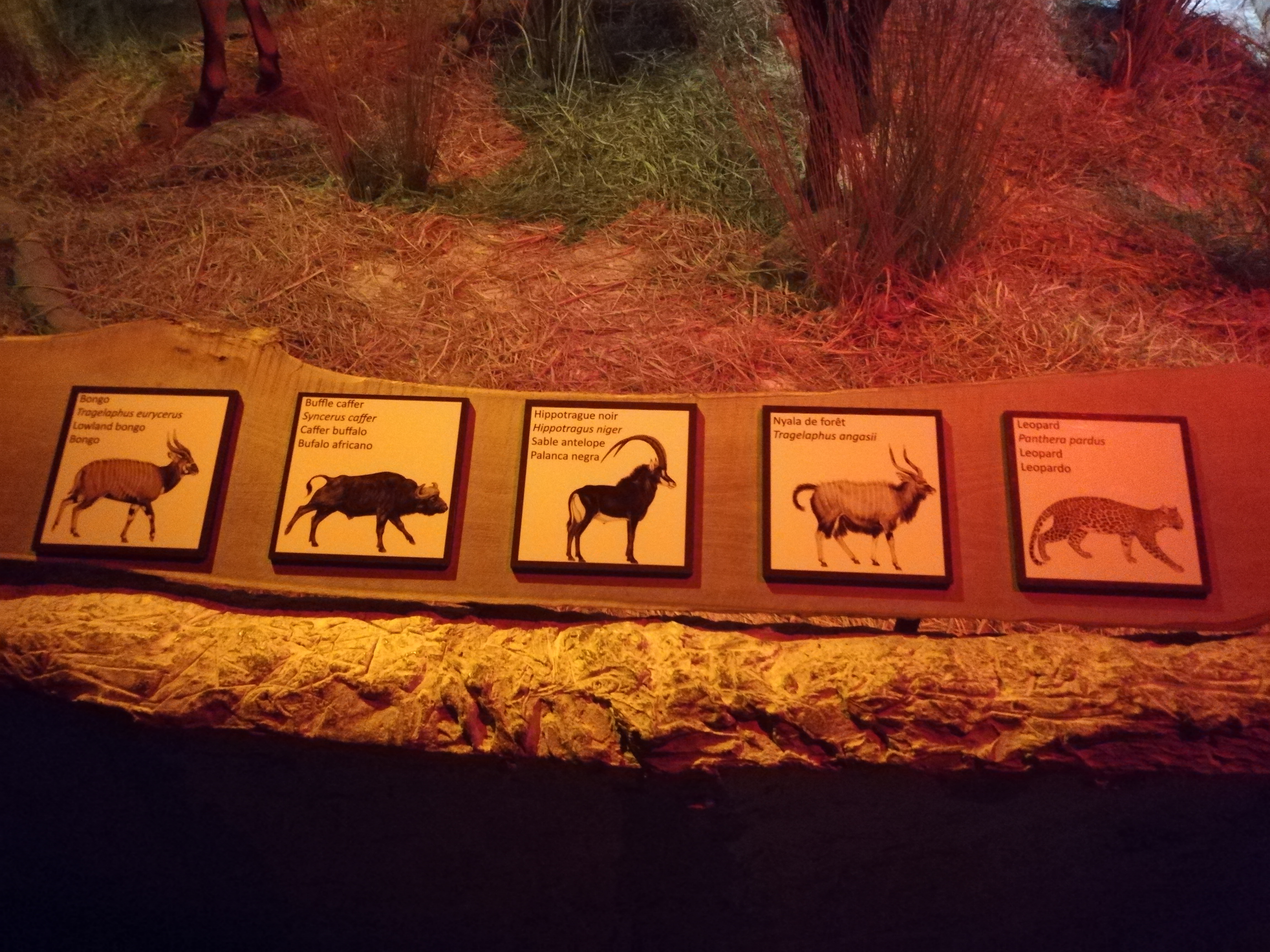 Photo n° 26 de l'avis de Soleil. fait le 20/08/2020 à 12:36