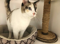 Best Friends Pet Hotel - Photo 6 - Car repair in Houston, TX, Houston