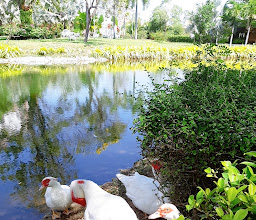 The Charm Boutique Resort photo