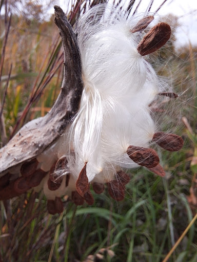 Park «Smith Park», reviews and photos, 8155 Park Ave S, Bloomington, MN 55420, USA