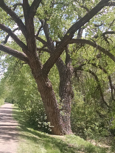 Golf Club «Highlands Ranch Golf Club», reviews and photos, 9000 Creekside Way, Highlands Ranch, CO 80129, USA