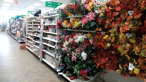 Dollar Store «Dollar Tree», reviews and photos, 230 E Main St #221, Newark, DE 19711, USA