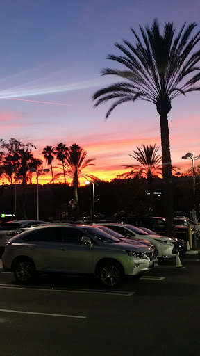 South County Lexus image