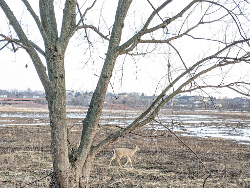 Nature Preserve «Rock Run Preserve - Paul V. Nichols Access», reviews and photos, Essington Rd, Joliet, IL 60435, USA
