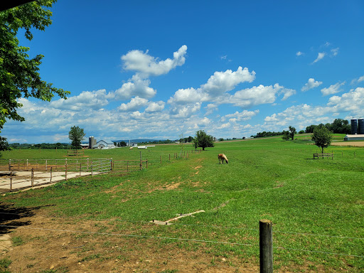 Tourist Attraction «Amish Experience», reviews and photos, 3121 Old Philadelphia Pike, Bird in Hand, PA 17505, USA