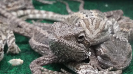 Pet Supply Store «Petco Animal Supplies», reviews and photos, 10 Sylvan St, Peabody, MA 01960, USA