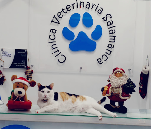 Clínica Veterinaria Salamanca en Santa Cruz de Tenerife