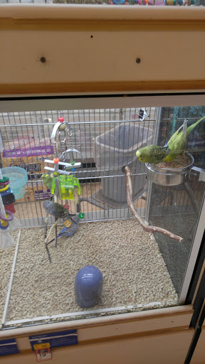 Pet Supply Store «PetSmart», reviews and photos, 11331 Causeway Blvd, Brandon, FL 33511, USA