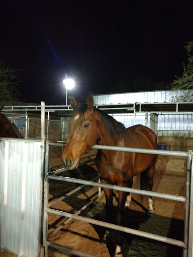 Birtwick Park Equestrian Center