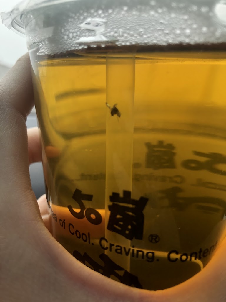 50嵐 大里中興店 的照片