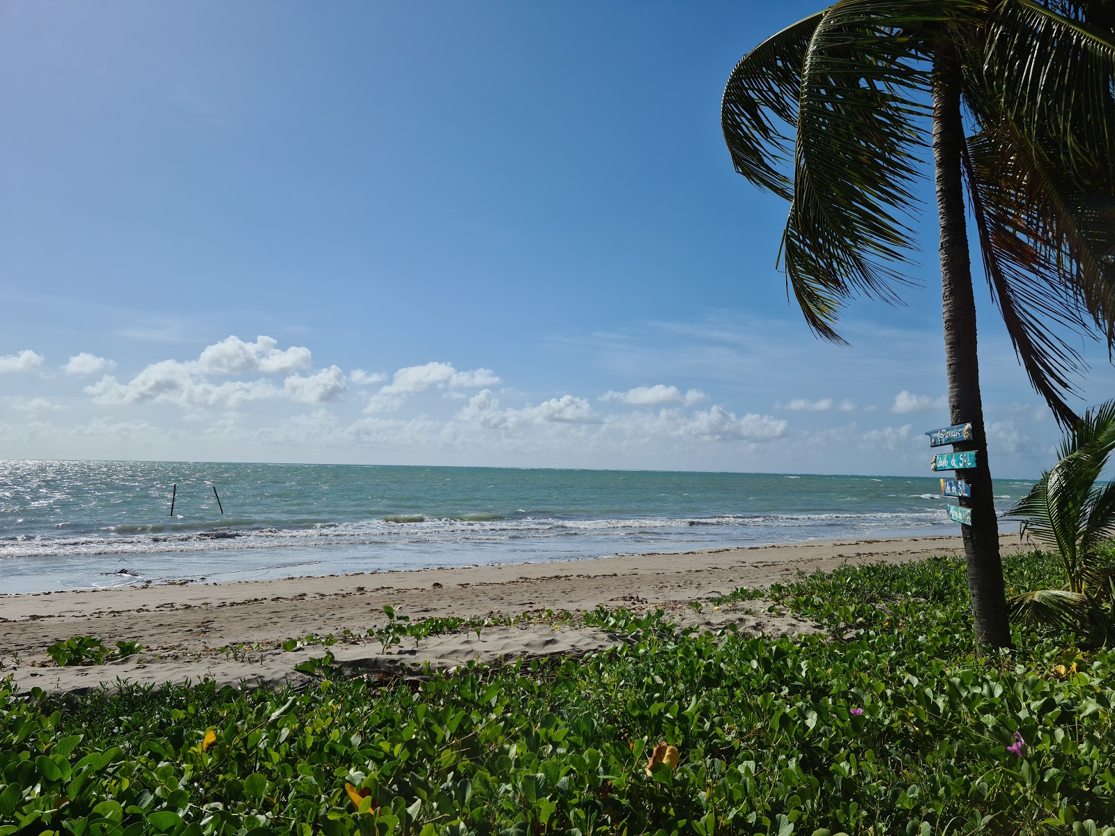 Praia de Japaratinga II photo #7