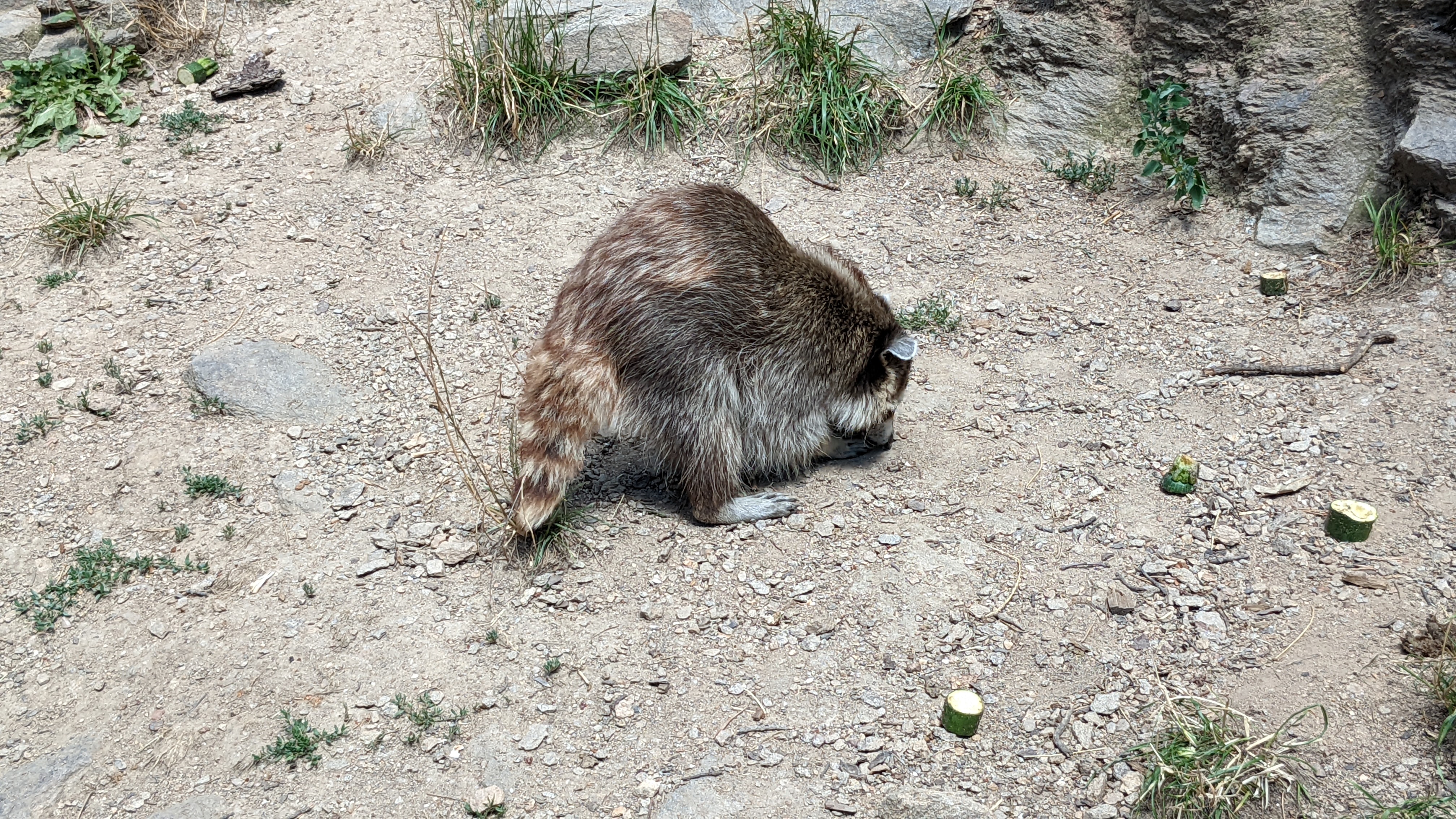 Photo n° 22 de l'avis de Patrice.a fait le 05/07/2022 à 18:27