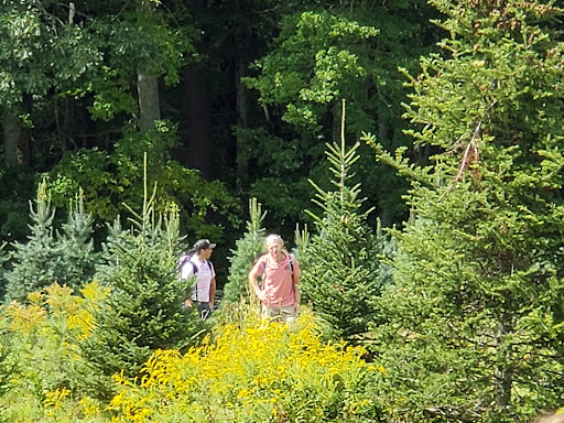 Outdoor Sports Store «Maple Hill Disc Golf», reviews and photos, 132 Marshall St, Leicester, MA 01524, USA