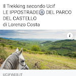 Photo n°1 de l'avis de Ippostrade.o fait le 11/02/2021 à 11:26 sur le  Ristorante Cikos à Santo Stefano di Zimella