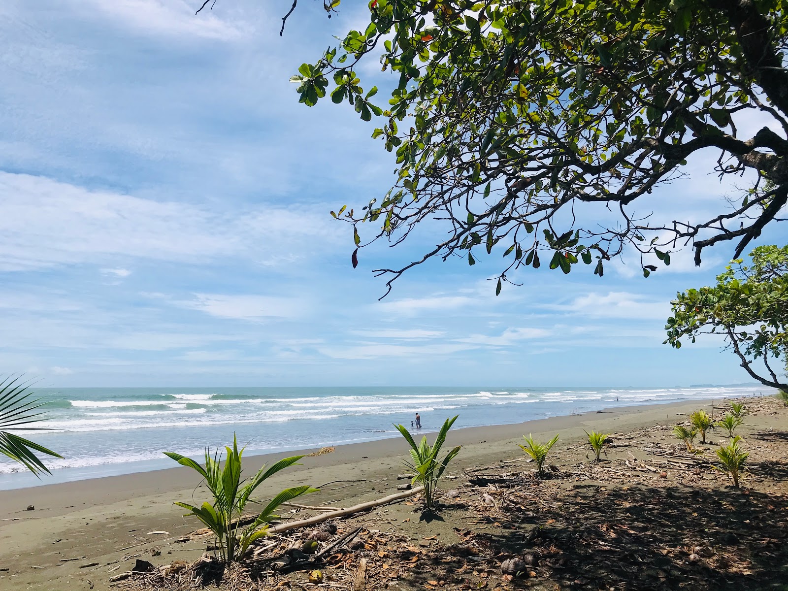 Photo de Playa Matapalo situé dans une zone naturelle
