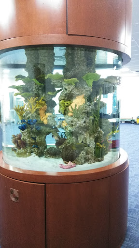 Aquarium Shop «Living Color Aquariums», reviews and photos, 6850 NW 12th Ave, Fort Lauderdale, FL 33309, USA