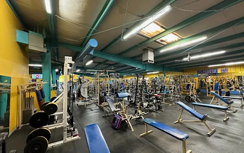 Mandrill's Gym image