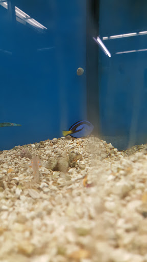 Pet Supply Store «Petco Animal Supplies», reviews and photos, 5631 Grove Blvd, Hoover, AL 35226, USA