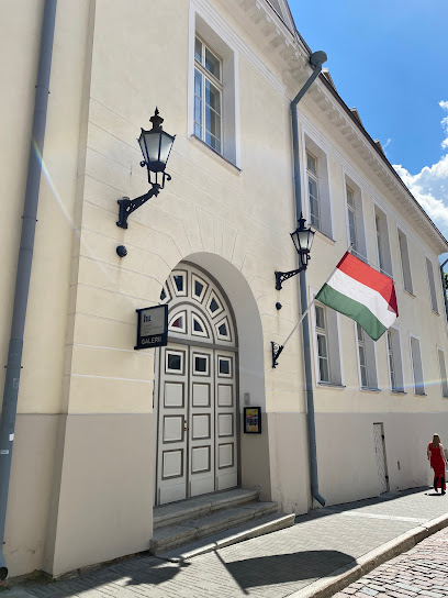 Liszti Instituut - Ungari Kultuuri Keskus Tallinn