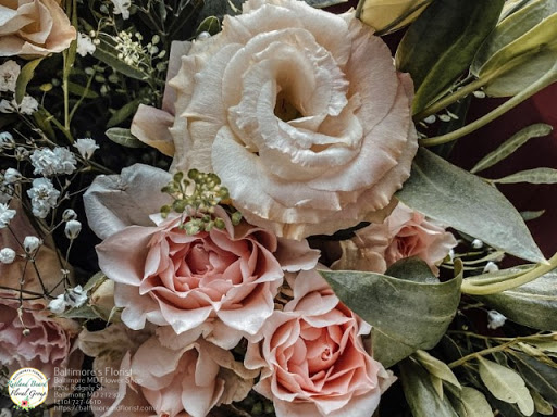 Florist «The Flower Shop», reviews and photos, 1065 S Charles St, Baltimore, MD 21230, USA