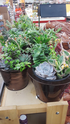 Grocery Store «Grocery Outlet Bargain Market», reviews and photos, 299 D St NE, Salem, OR 97301, USA