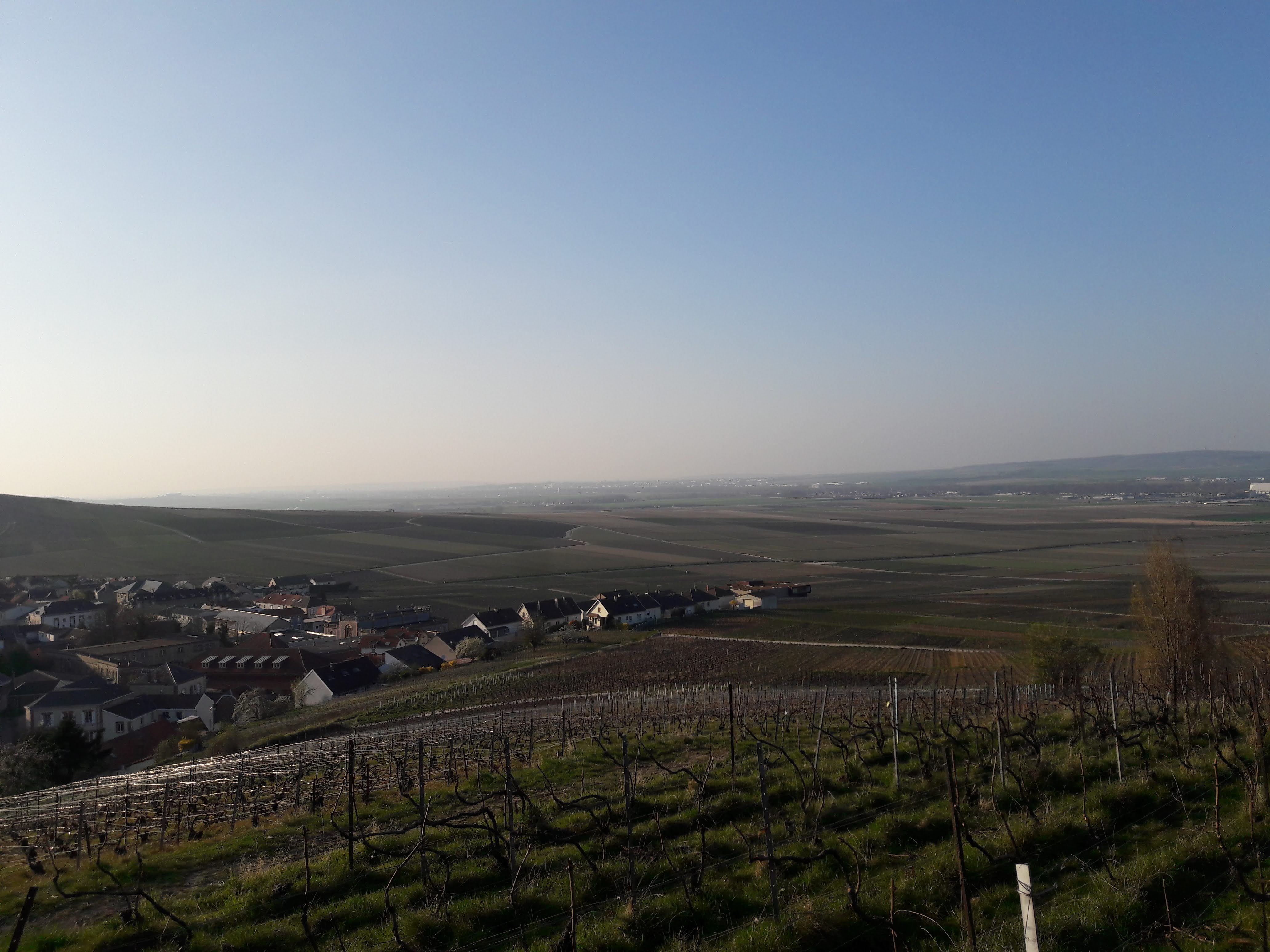 Photo n° 2 de l'avis de Blondine.r fait le 26/03/2022 à 18:59