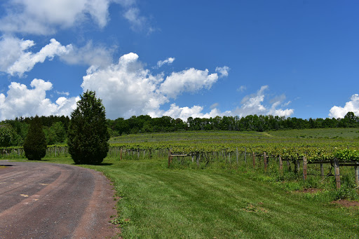 Winery «Big Creek Vineyard», reviews and photos, 41 Susquehanna St, Jim Thorpe, PA 18229, USA