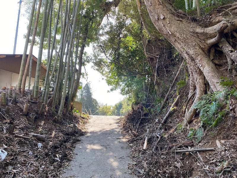 小泉館跡