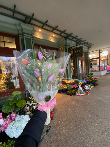 Florist «Fern by Boston Rose Florist», reviews and photos, 225 Massachusetts Ave, Boston, MA 02115, USA