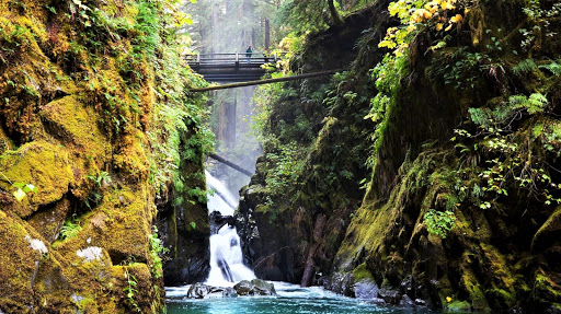 National Park «Olympic National Park», reviews and photos