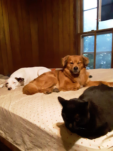 Beatrice Animal Hospital image