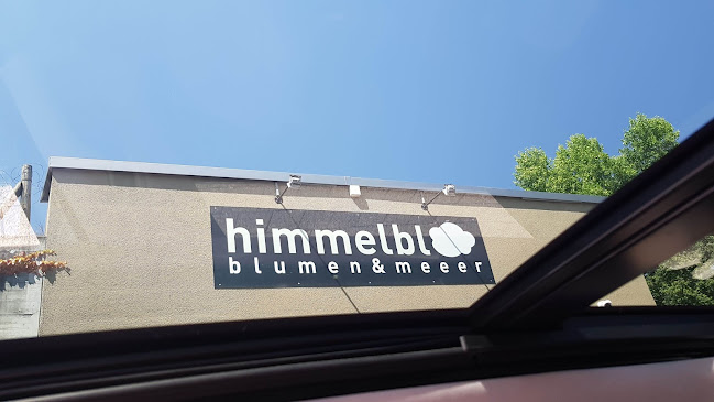 Himmelblau blumen & meer GmbH