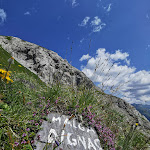 Photo n°2 de l'avis de Andrea.a fait le 24/07/2021 à 21:06 sur le  Agriturismo Malga Dignas à San Pietro di Cadore